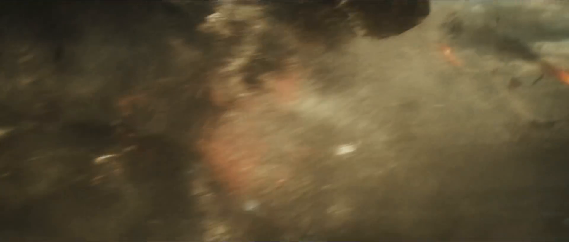 I put my cat Wayne in the Godzilla vs Kong trailer-ncHNHDdgwig.mp4